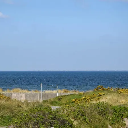 Land In Sicht Лист